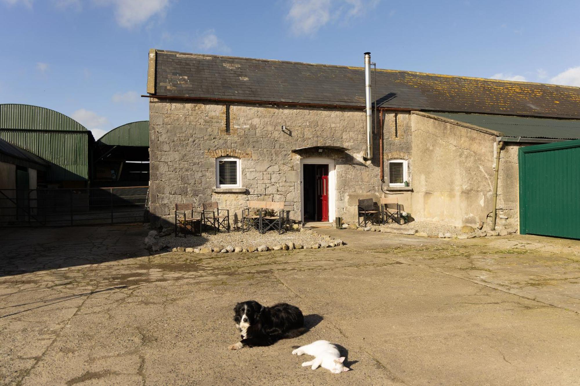 Hotel Fitz Of Inch Stradbally  Exterior foto